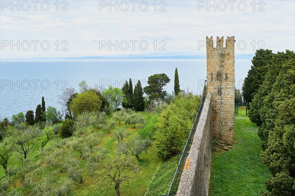 Old city wall overlooking the sea