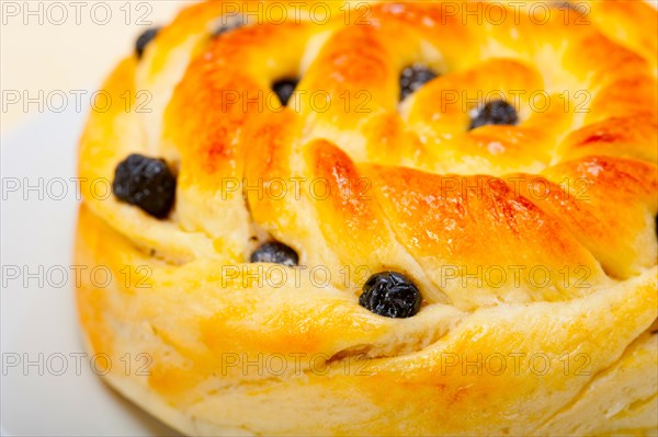 Fresh home baked blueberry bread cake dessert over white wood table