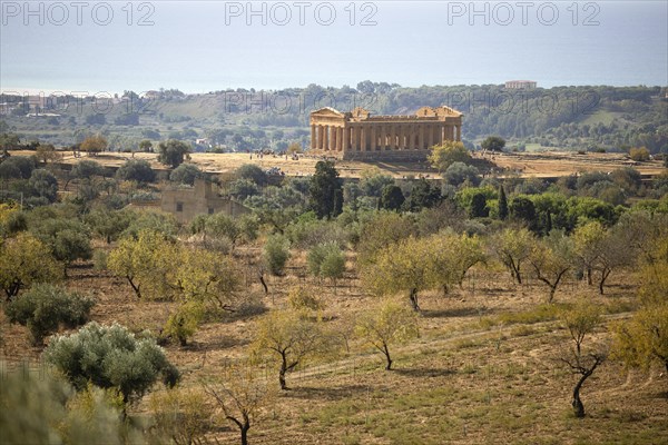 Valle dei Templi di Agrigento