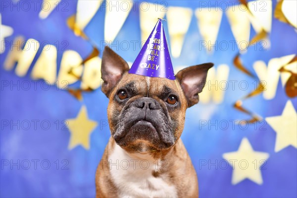 French Bulldog dog wearing New Year's Eve party celebration hat in front of blue background decorated with golden garlands