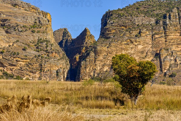 Savannah in the Isalo National Park