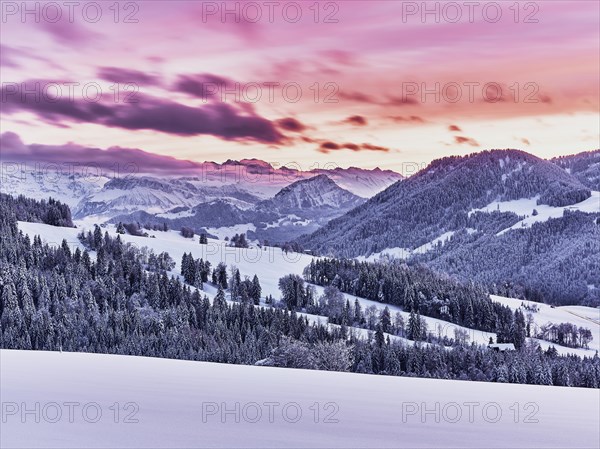 Snow-covered forest with view of the Central Swiss Alps
