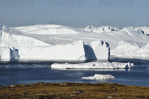 Gigantic icebergs in the ice fjord