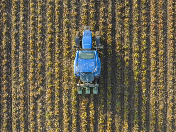Aerial view of a tractor working in the field