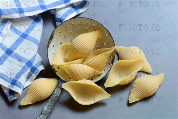 Conchiglione with sieve ladle