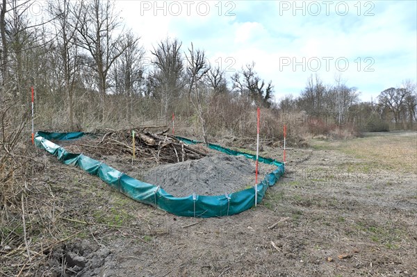 Artificial replacement biotope with foil fence for the relocation of sand lizards