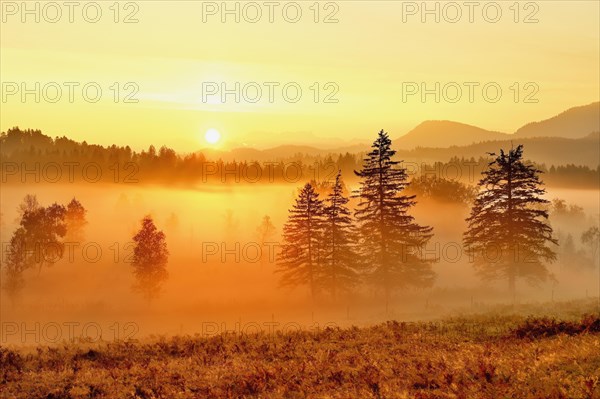 Sunrise High Moor Eigenried Zugerberg