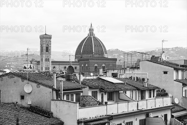 Above the roofs of Florence