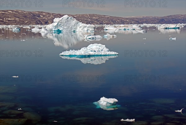 Icebergs reflected in a fjord