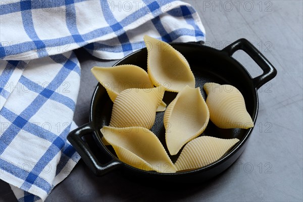 Conchiglione in pots