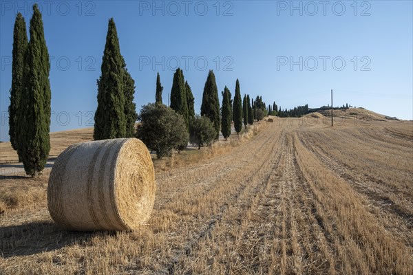 Straw bales