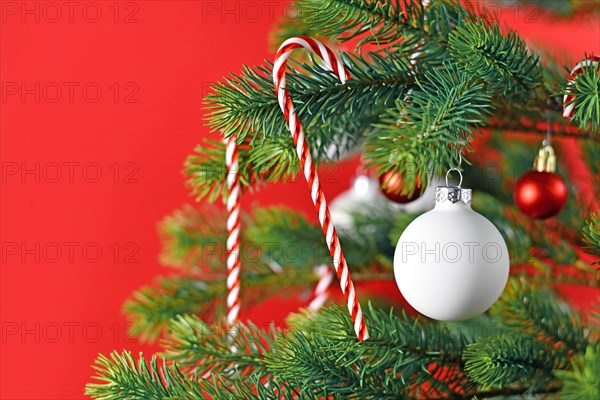 Close up of decorated Christmas tree with white and red seasonal tree ornaments like baubles and candy canes on red background