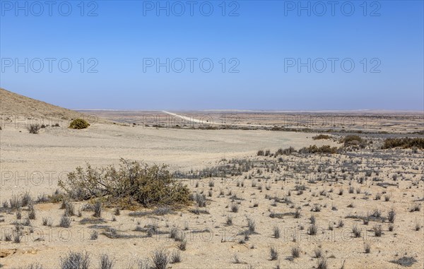 Landscape at Bird Feather Mountain on Main Road C14