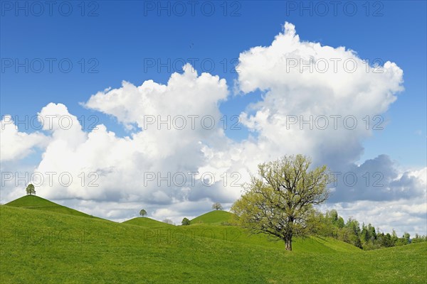 Moraine landscape