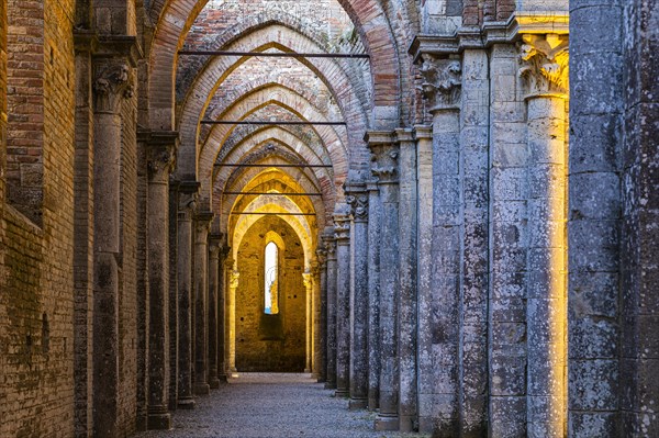 Side aisle of the ruined church of San Galgano Abbey in the evening light