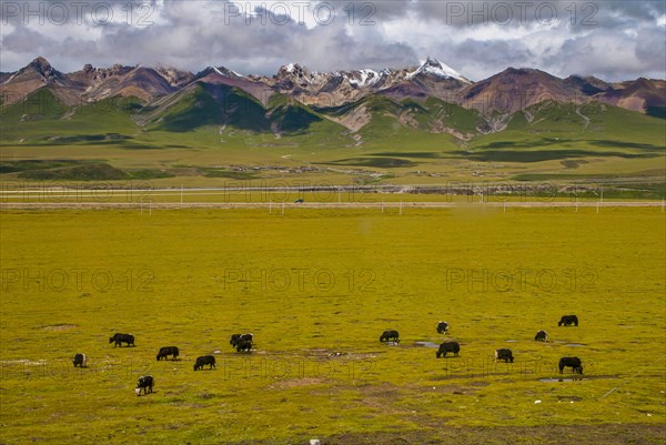 The open wide landscape of Tibet along the Tibetan railway in Tibet