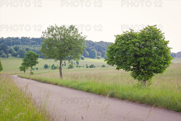 Landscape of the Swabian Alb around a hiking trail on the former military training area Muensingen