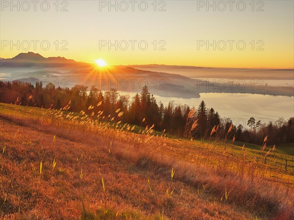 High moor at Zugerberg at sunset