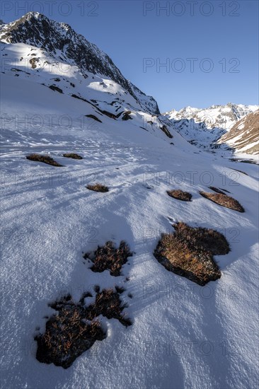 Snow-covered mountains