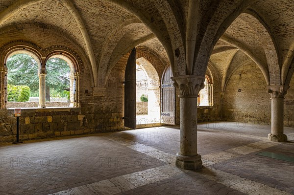 Vault of the church ruins of the Abbey of San Galgano