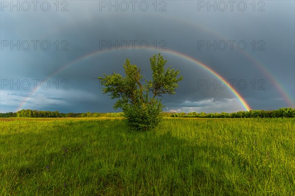 Appearance of a double rainbow in front of a late afternoon storm. Alsace