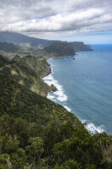 View of steep forested coast and sea