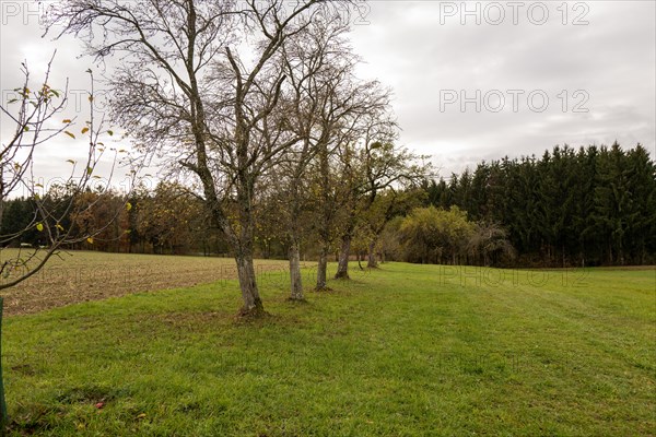 On the border between two differently used fields