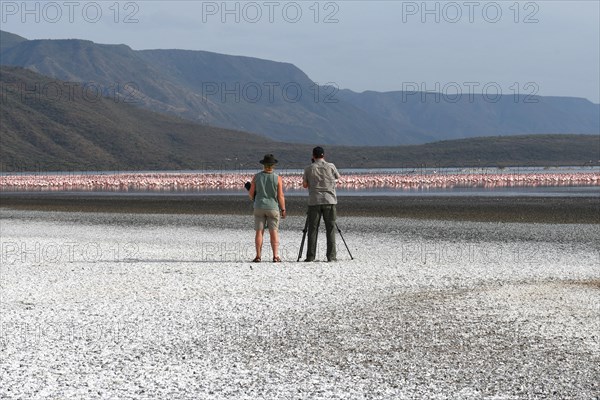 Photographer taking pictures of flamingos