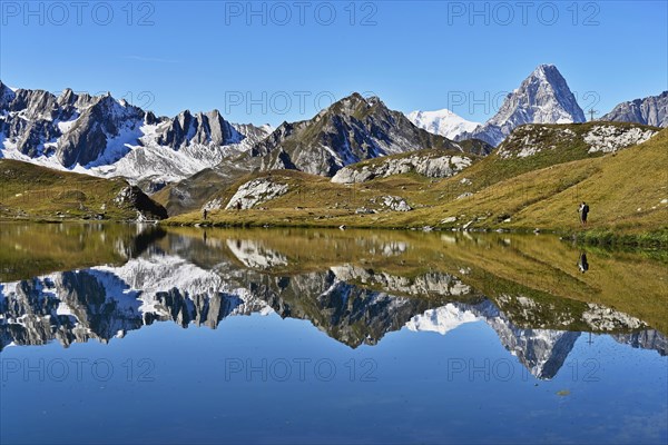 Mont Blanc and Grand Jorass reflected in Lac de Fenetre