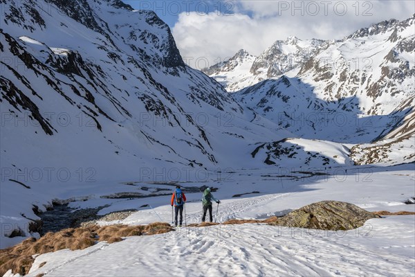 Ski tourers in winter in the mountains