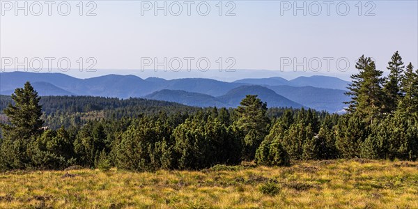 View from Schliffkopf over forest and mountains