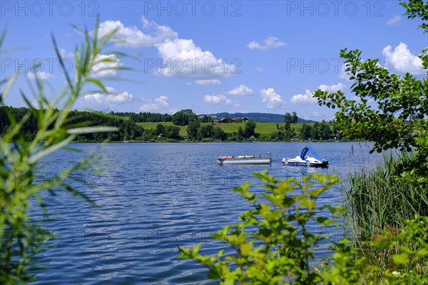 Wallersee