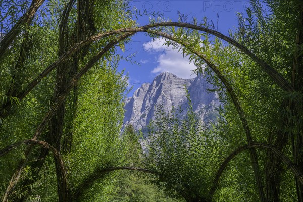 Willow Dome in the background Planspitze