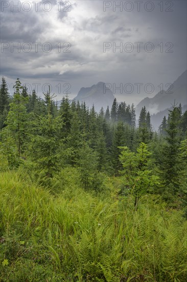 Gloomy rainy weather and in the background the Reichenstein