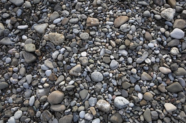 River pebbles