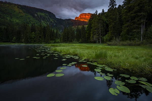 Schwendisee with water lilies