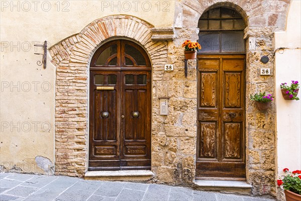 House entrance doors with floral decoration