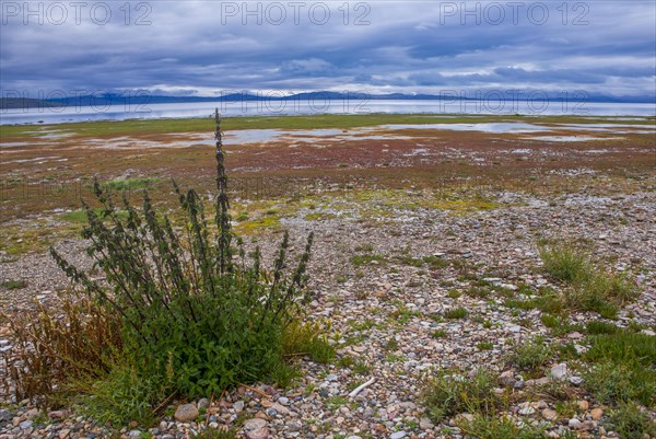 Lake Manasarovar