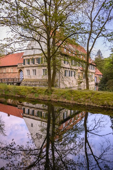 Burg Dinklage Monastery