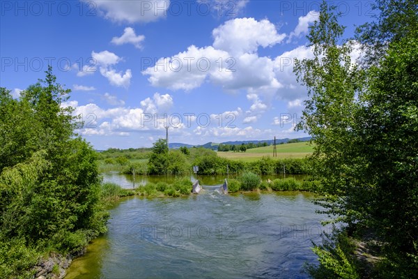 Katzbach am Wallersee