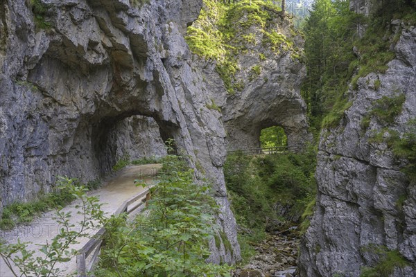 Tunnel in the gorge along the Schrottner path
