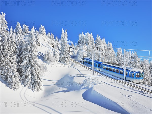 Cogwheel railway travelling through snow-covered forest