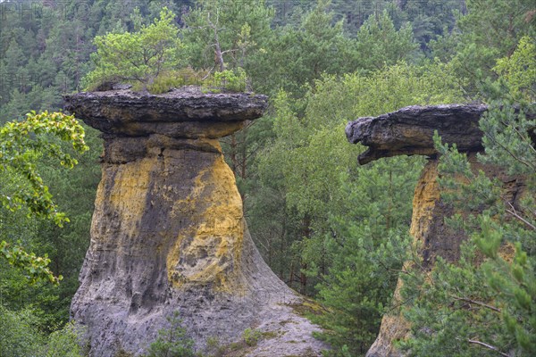 Poklicky rock formations