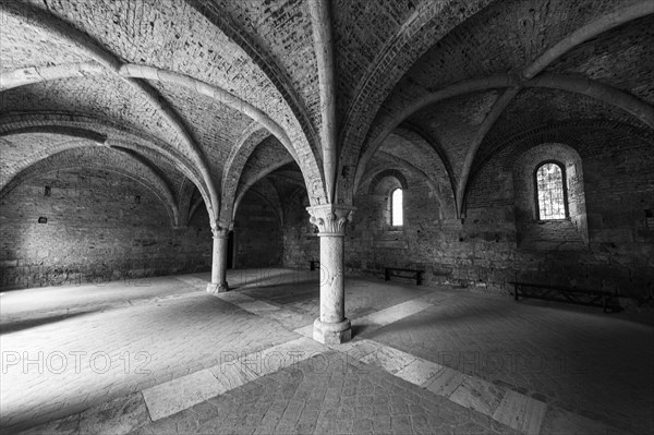 Vault of the church ruins of the Abbey of San Galgano