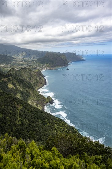 View of steep forested coast and sea