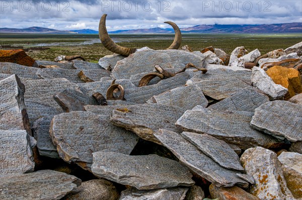 Praying stones on the Kailash Kora