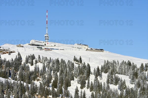 Winter landscape