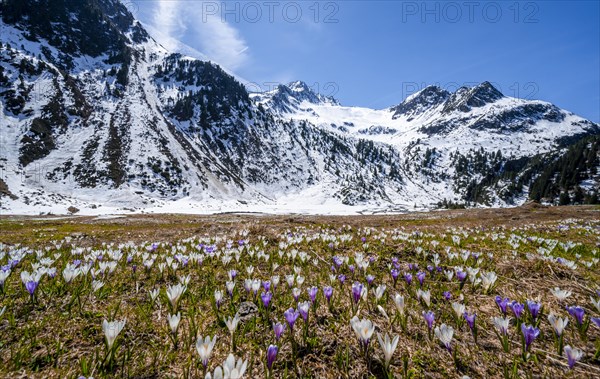 Spring in the mountains