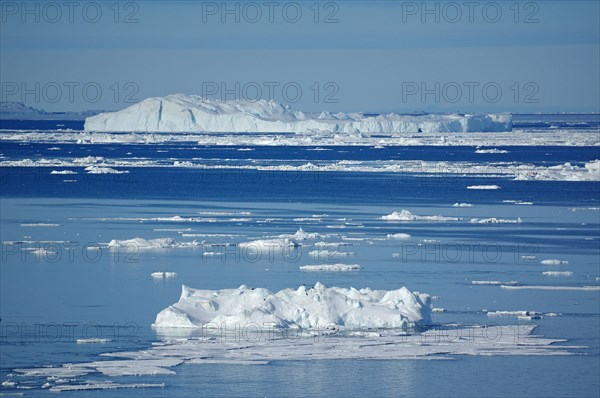 Icebergs and drift ice in a wide bay
