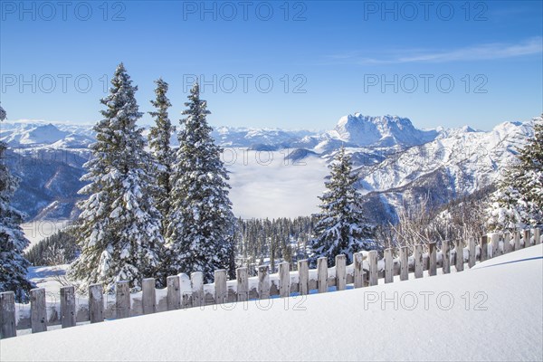 View of the Wilder Kaiser